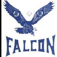 falcon Marketing Profile Picture