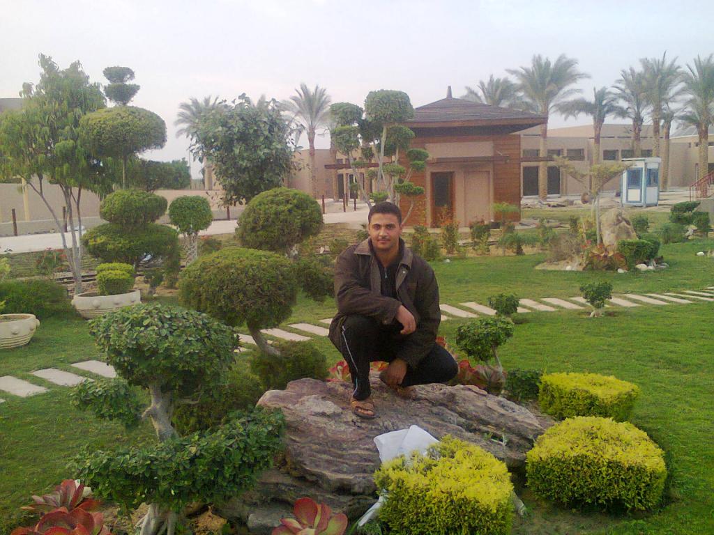 Ahmedsayed-Sawy Cover Image