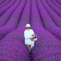 Doaa-Elmandarawy Profile Picture