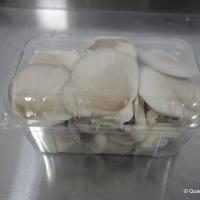 عصام Profile Picture