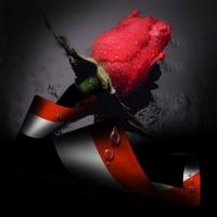 البرنسيسه Profile Picture