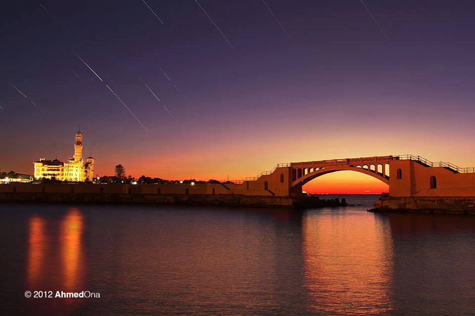 محمد السلاموني Cover Image