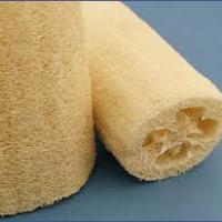 Egyptian Natural Luffa / Loofah Project Picture
