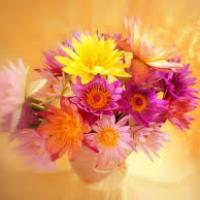 مروان محمد Profile Picture