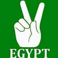 Ahmed Nagah Goda Profile Picture