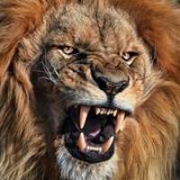 Matwaly Elsaid Elhamky profile picture