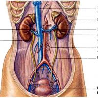 profile-92628 Profile Picture