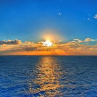 ahmed Profile Picture