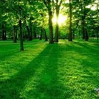 EL Fanan profile picture