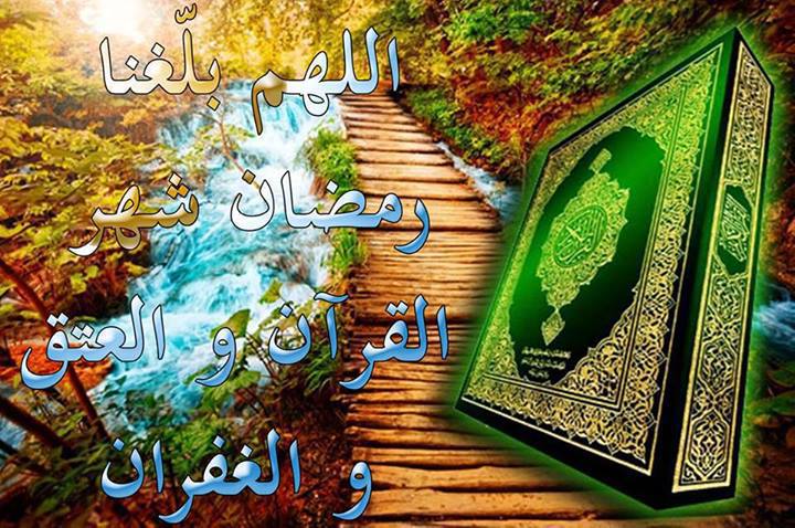 احمد الازهرى Cover Image