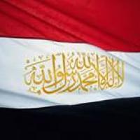 profile-95980 Profile Picture