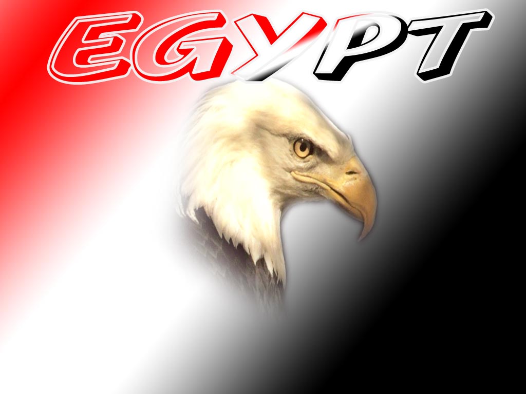 mohammed abd elmegeed mohammed Cover Image