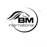 BM International Import Export C Project Picture