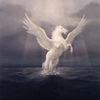 المجتبى الحاج ابراهيم Profile Picture