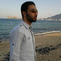 mohammad shalhawi Profile Picture