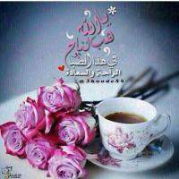 صلاح Profile Picture