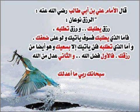 ياسر بلح Cover Image