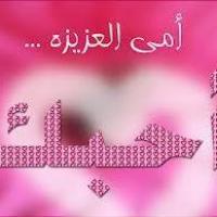 أبوالحسن رامى البقرى profile picture