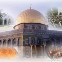 profile-110282 Profile Picture