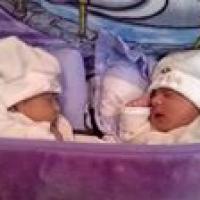 Elkhateeb Mohamad Profile Picture