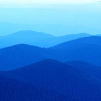 محمد حليم Profile Picture