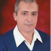 amr mohamed ismail Profile Picture
