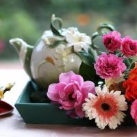 profile-112760 Profile Picture