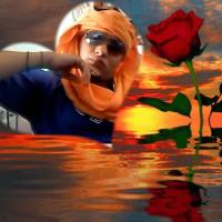 tarek elain Profile Picture