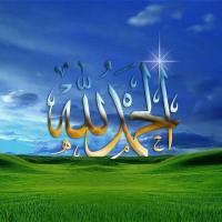 ياسر الديب Profile Picture