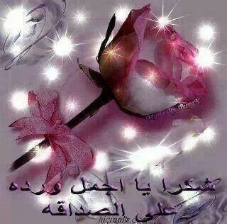 شافعى عثمان ابوزيد Cover Image