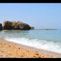 adil fougani Profile Picture