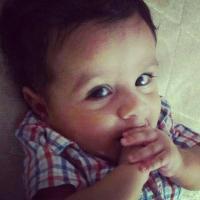 محمد جلال عبد اللطيف Profile Picture