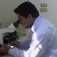 Dr-Ahmed Shehab Profile Picture