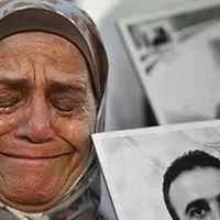 Meshoo Beek Profile Picture