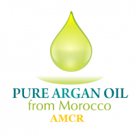 lahcenfouzi Profile Picture