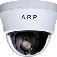 Arp Arp Profile Picture