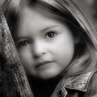 رضا شاهين Profile Picture