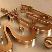 Mahmoud Nagib Profile Picture