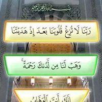 نادي عبد النبي profile picture