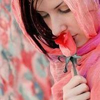 profile-155551 Profile Picture