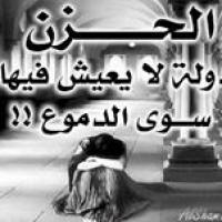 امجد المصرى Profile Picture