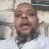 محمودعيد profile picture