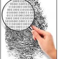 profile-160535 Profile Picture