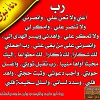 profile-159632 Profile Picture