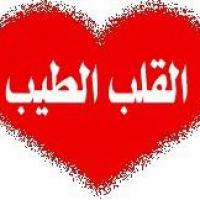 Ayman Abdallah Profile Picture