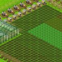 Adel El Sheikh Profile Picture