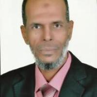 صبرى محمدين Profile Picture