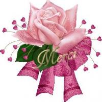 Haifa aziz Profile Picture