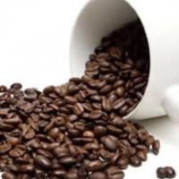 profile-161303 Profile Picture