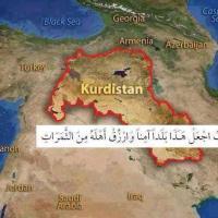 شفان عبدالرحمن صالح Profile Picture